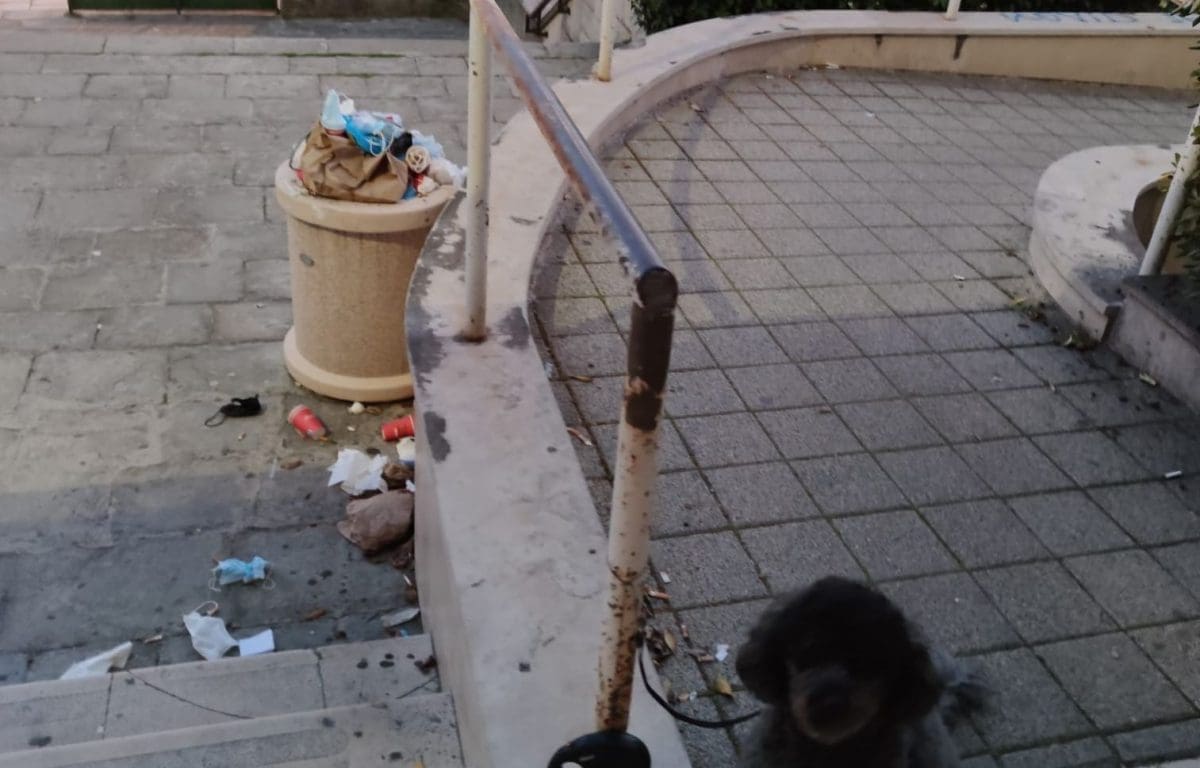 SMEĆE SE "PRELIJEVA" IZ KANTE: "Pasji život ispred Starog rodilišta"