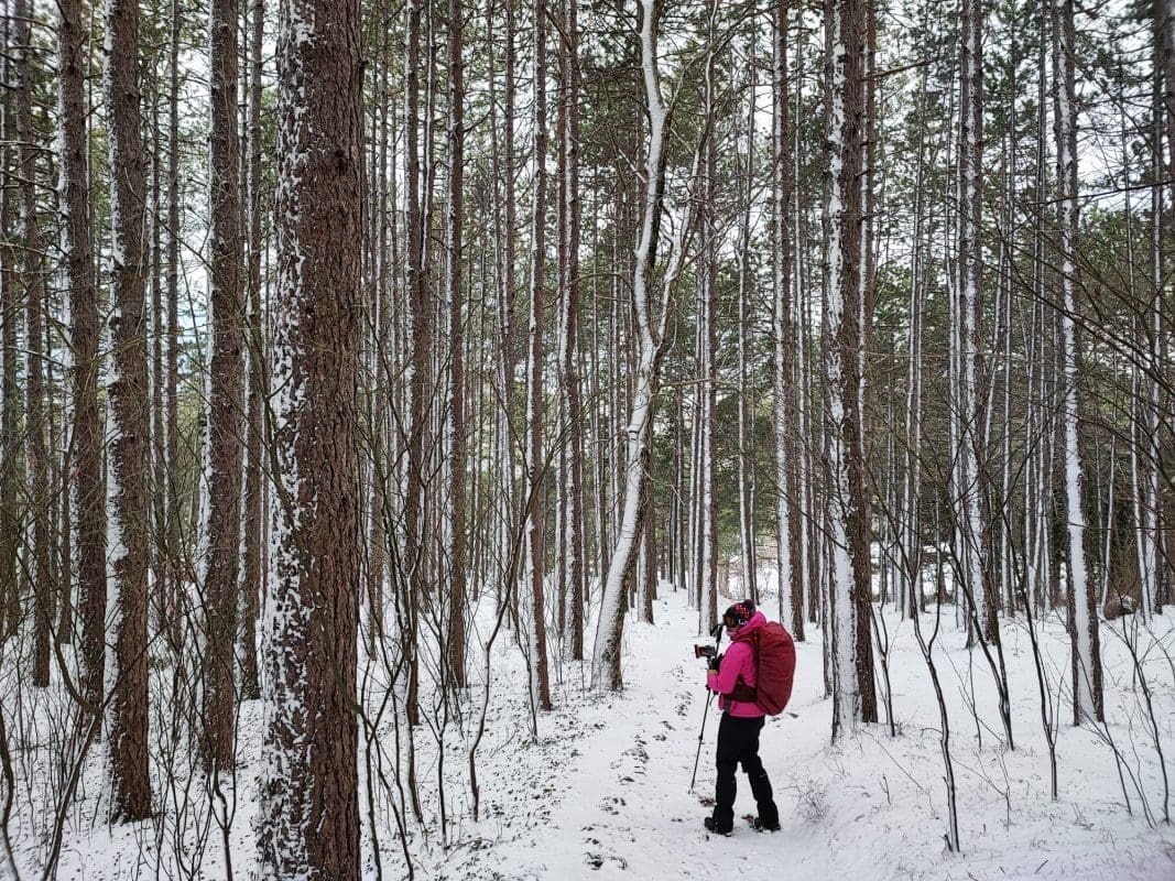 snijeg_gornje sitno (1)