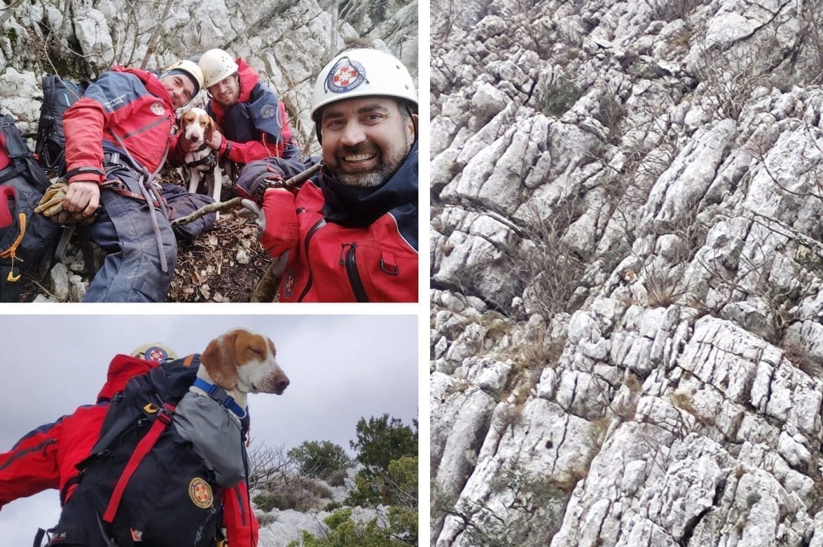 SPAŠAVATELJI VELIKOG SRCA Članovi HGSS-a spasili iznemoglog psa, bio je vidno iscrpljen. Evo kako je to izgledalo