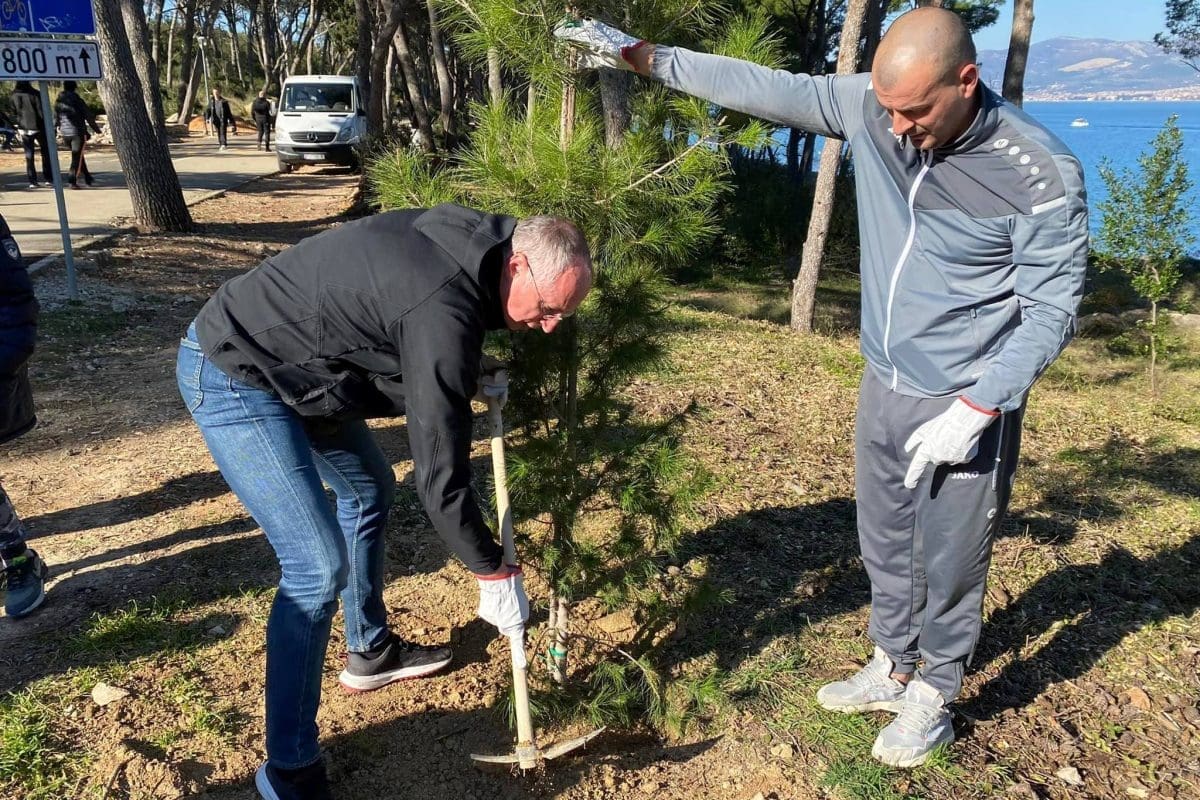 Puljak na Marjanu posadio prvo stablo u zadnjih 30 godina: "Ovo je tek početak obnavljanja šume na Marjanu"