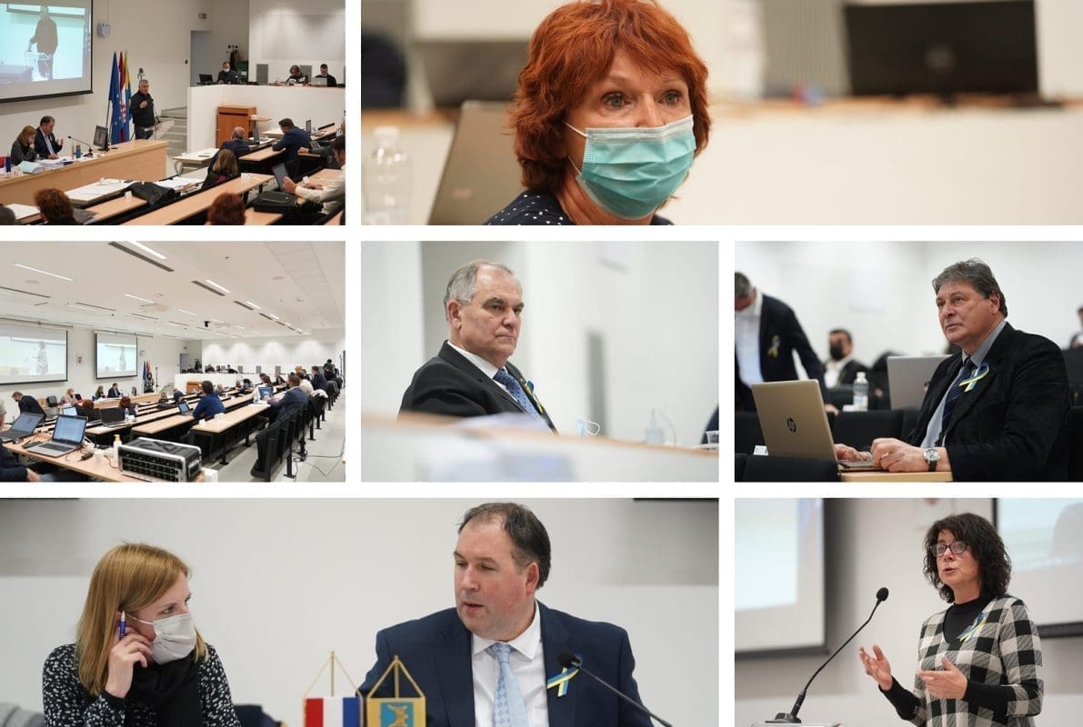 Larpurlartizam na Županijskoj skupštini ili kako bi rekao Seinfeld: Show about nothing!