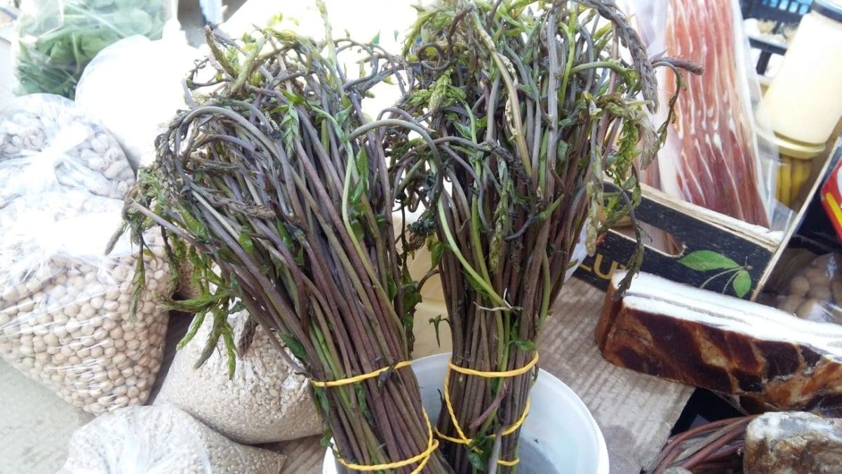 Dok cijene divljaju, Kaštelanin besplatno dijeli šparoge: "Neka se neko počasti, nije mi do para"