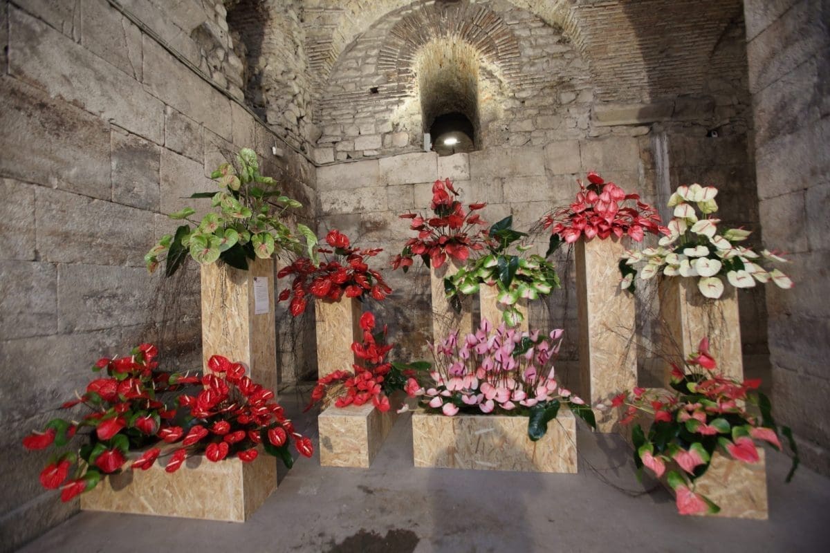 45. Praznik cvijeća – „Europa cvita usrid Splita“