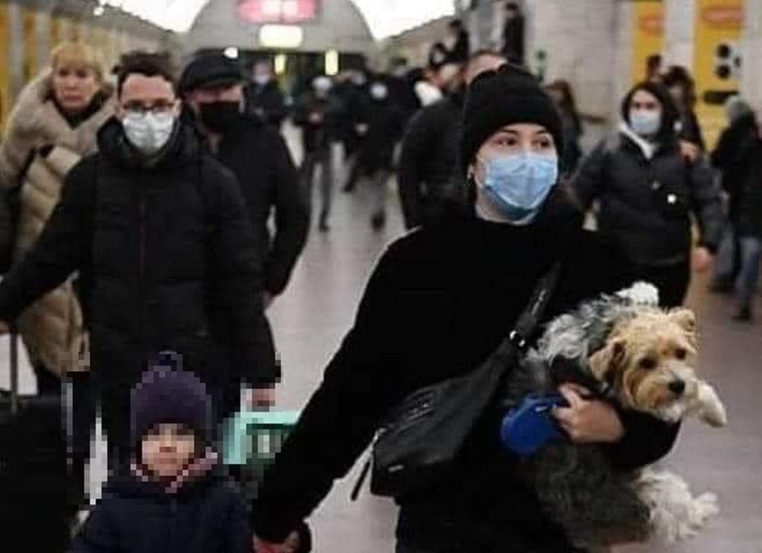 Prijavite se ako možete pružiti smještaj ljudima koji iz Ukrajine stižu sa životinjama