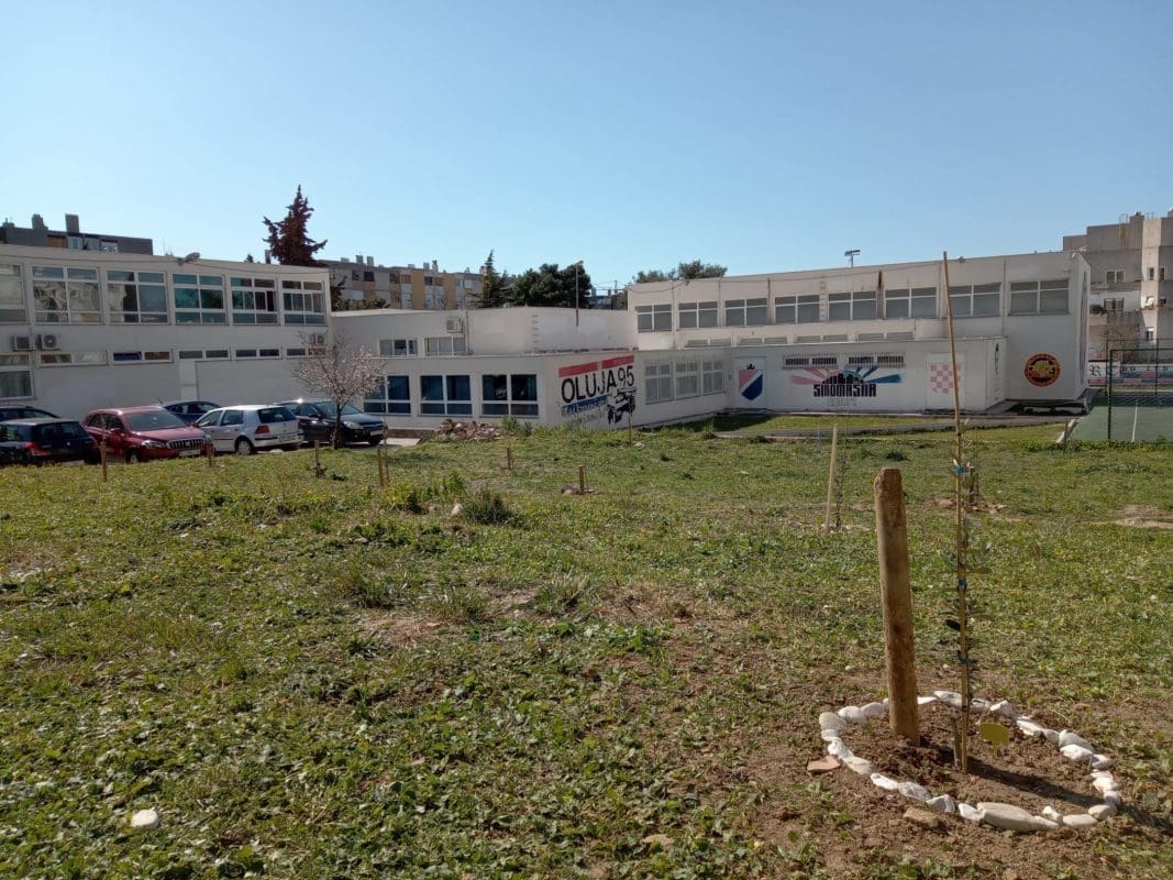 Učenici škole Plokite zasadili sadnice maslina na zelenoj površini oko škole