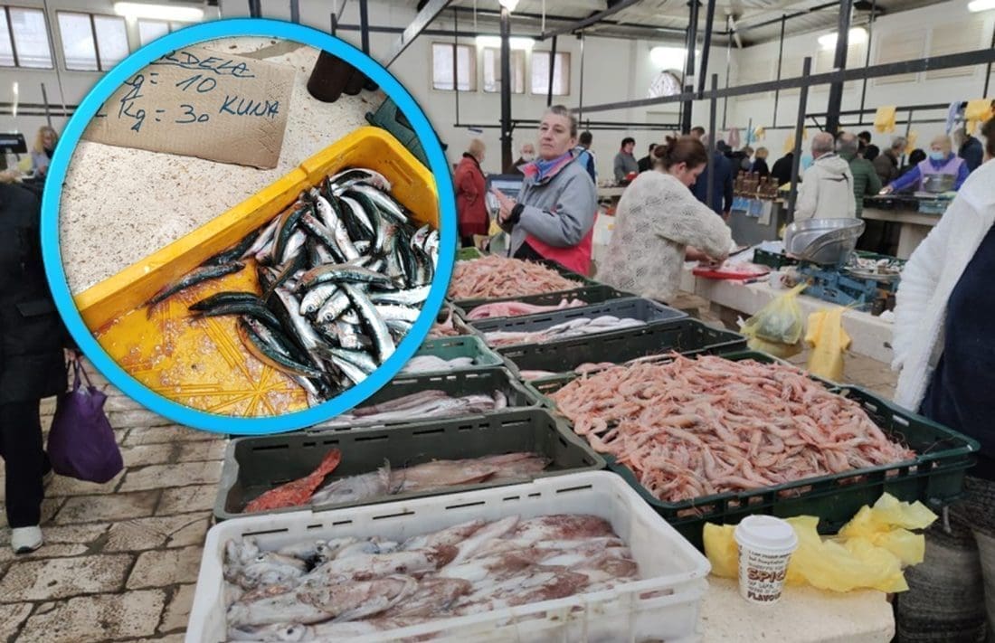 PONUDA SA SPLITSKE PEŠKARIJE JE URNEBESNA Hit fotografija kruži društvenim mrežama, mnogi je komentiraju: "Eto, pameti…"