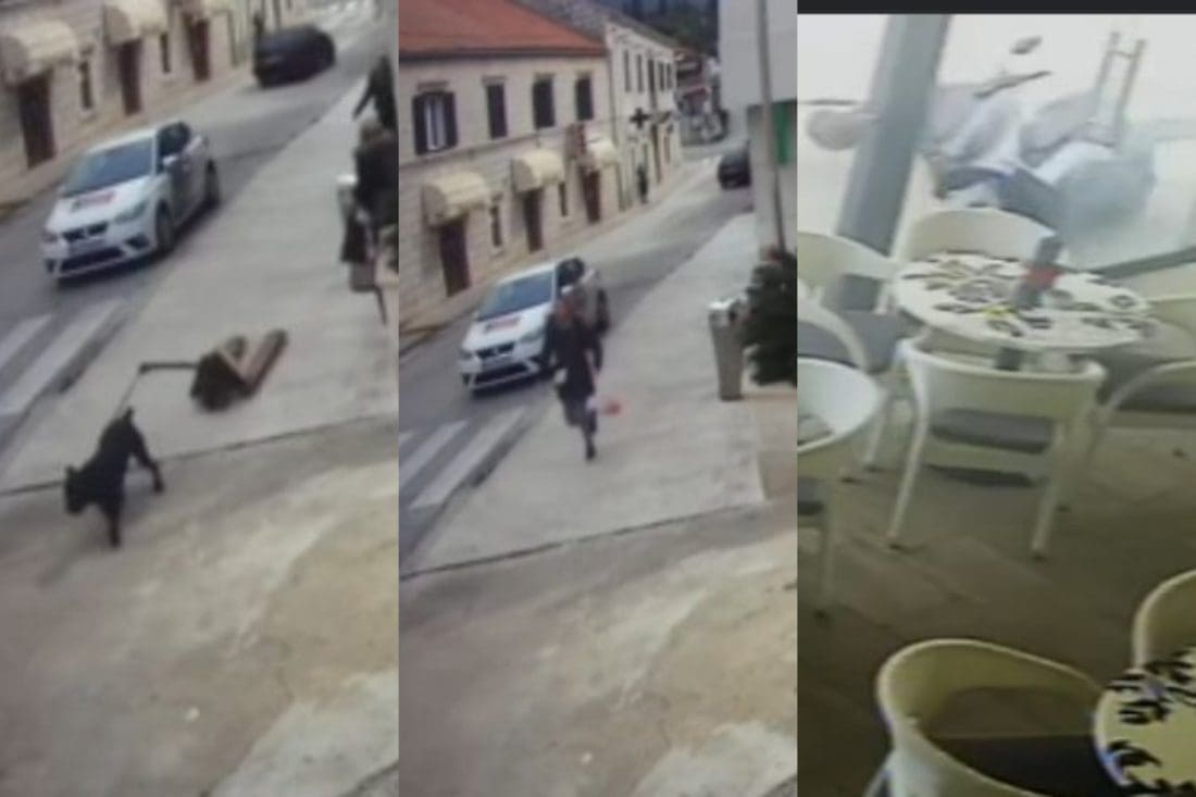 NEVIĐENE SCENE IZ DALMACIJE Pas vuče paletara, vlasnica trči za njim, nastradao skuter...