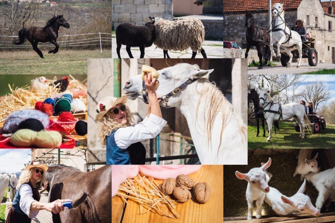 RAJ NA ZEMLJI Kod Sinja se stvara priča vrijedna divljenja: "Pokrenuli smo se kao spontani odgovor na današnju globalizaciju i otuđivanje modernog čovjeka od zemlje, prirode i na kraju samoga sebe"