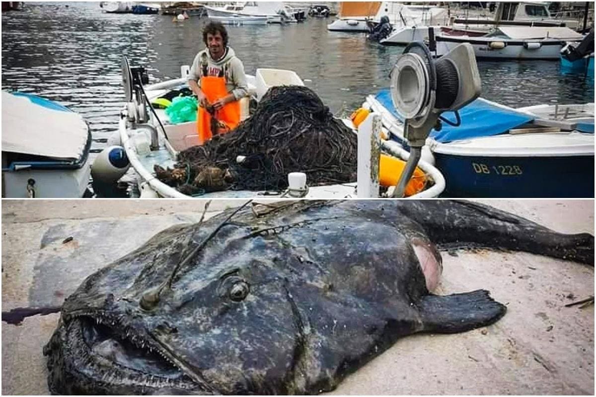 "ZVIJER IZ GETA" Poznati ribar ulovio ogromnu grdobinu