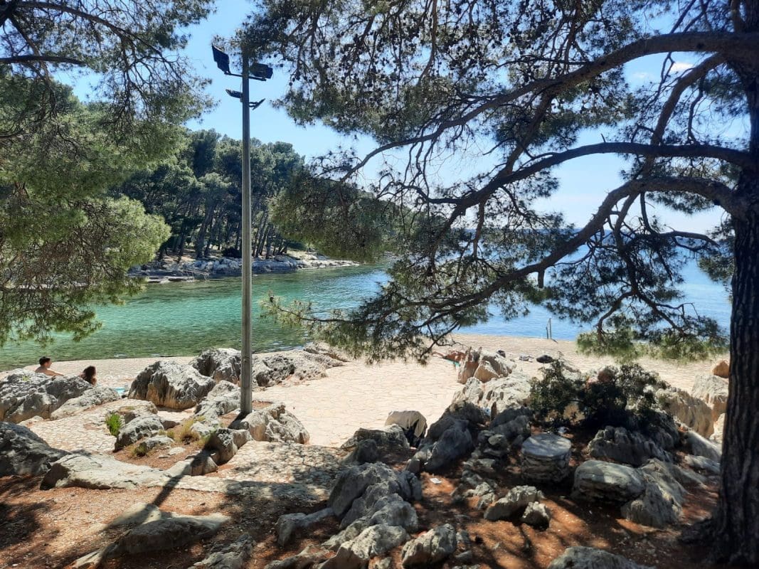 marjan_djir_bene (1)