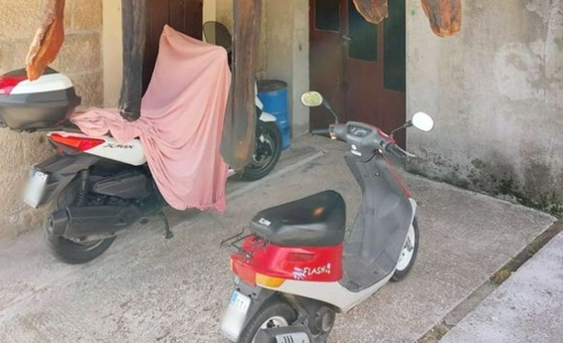 URNEBES KOJI SE RIJETKO VIĐA Fotografija iz Dalmacije masovno se dijeli društvenim mrežama, 'skupila' je tisuće reakcija: "Lipo okićen dvor!"