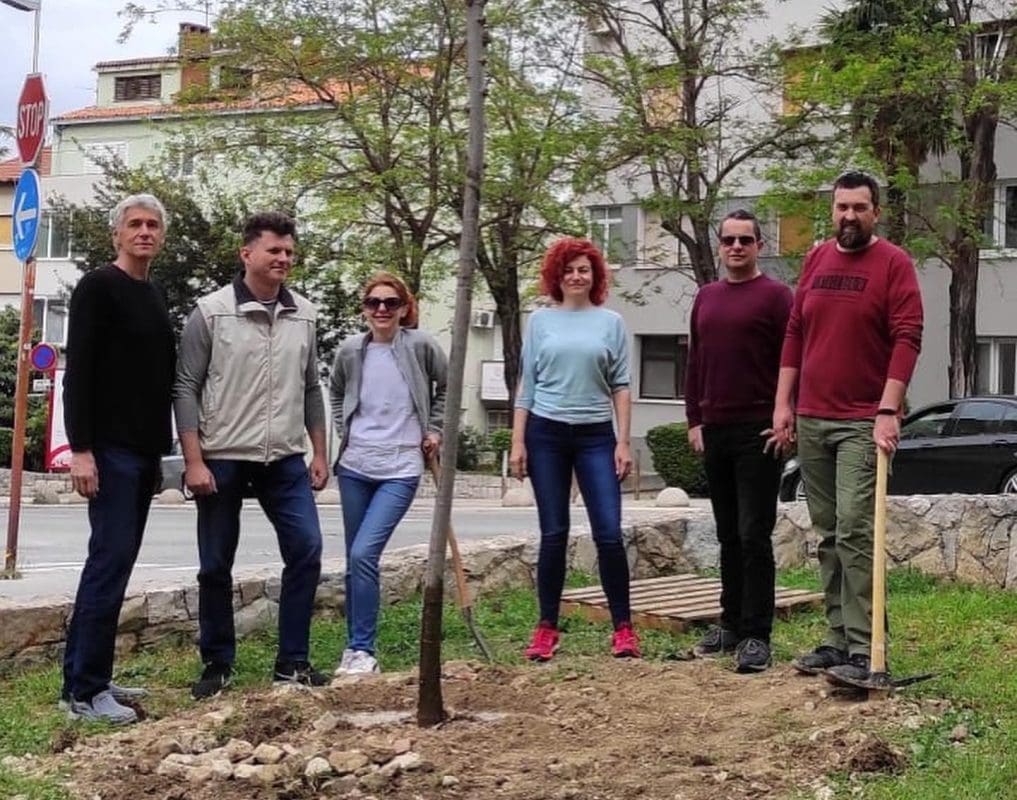 Lipe cvatu ponovno u Tolstojevoj