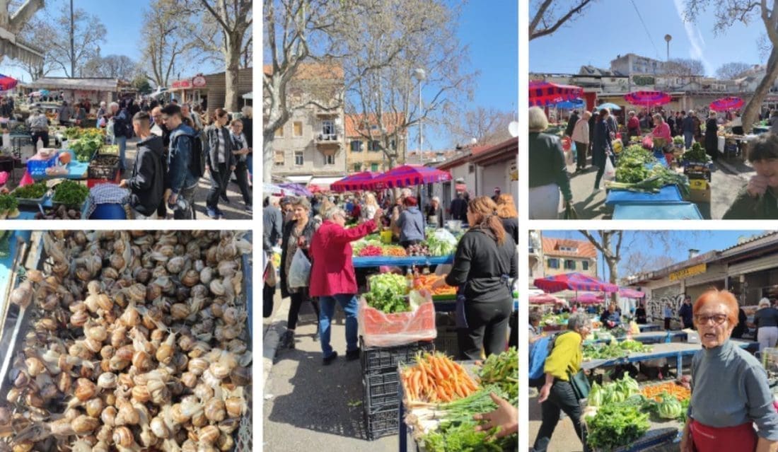 ZAGUŽVALO NA SPLITSKOM PAZARU Ima svega, od rotkvica i šparoga do puževa