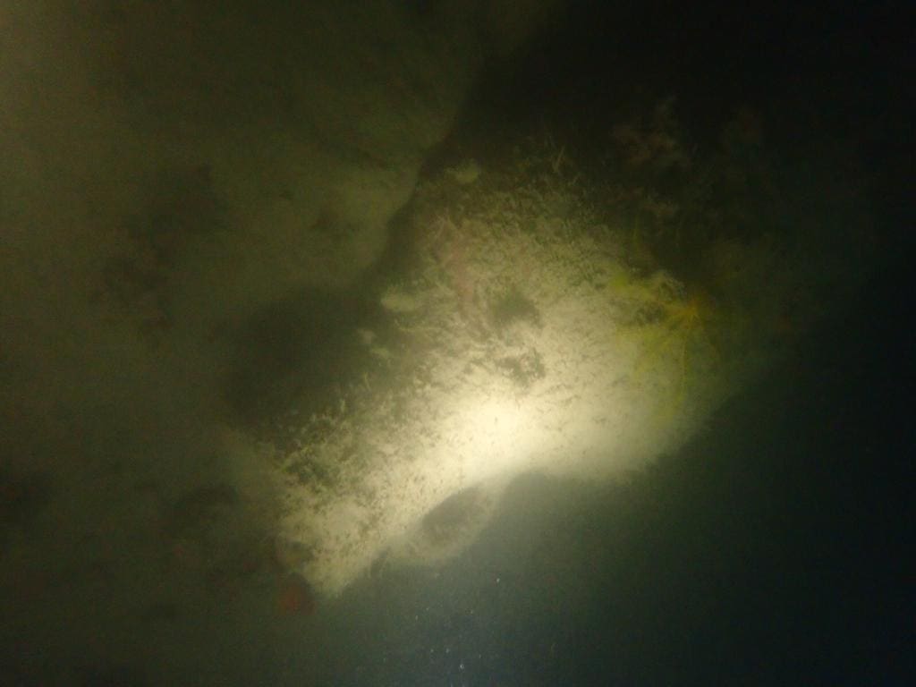 rostrum-nalaziste-amfore (1)