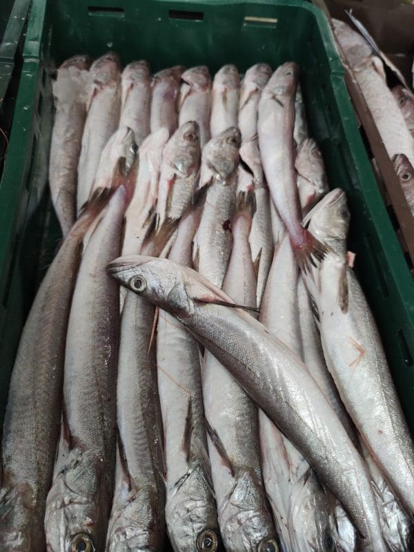 splitska_peskarija(1)