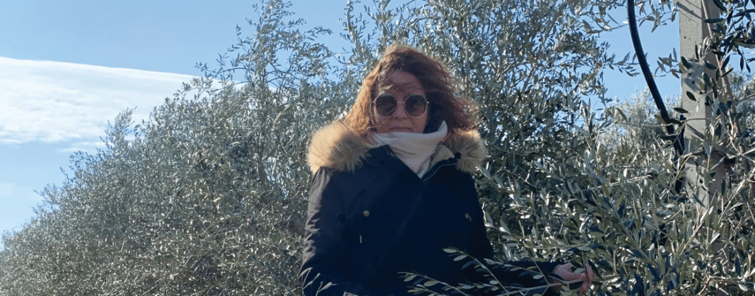 SUPERINTEZIVNI UZGOJ MASLINA Dr.sc.Tatjana Klepo nekoliko godina na pokušalištu Centra za voćarstvo i povrćarstvo u Kaštel Štafiliću prati nasade u kojima su većinom posađene „superintenzivne sorte“, ali ima i nešto domaćih