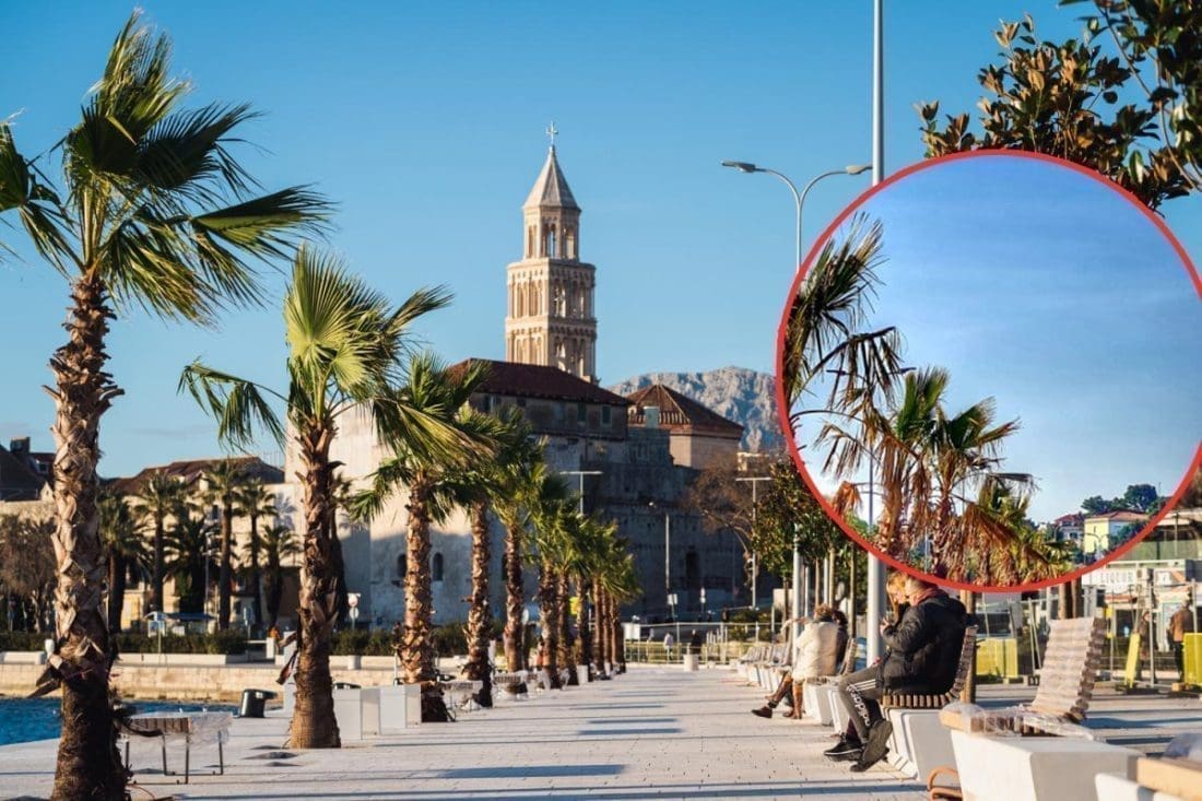 NEŠTO NOVO STIŽE NA ISTOČNU OBALU Detalje nam otkriva prvi čovjek "Parkova i nasada": "Sadit ćemo sedam novih koštela"