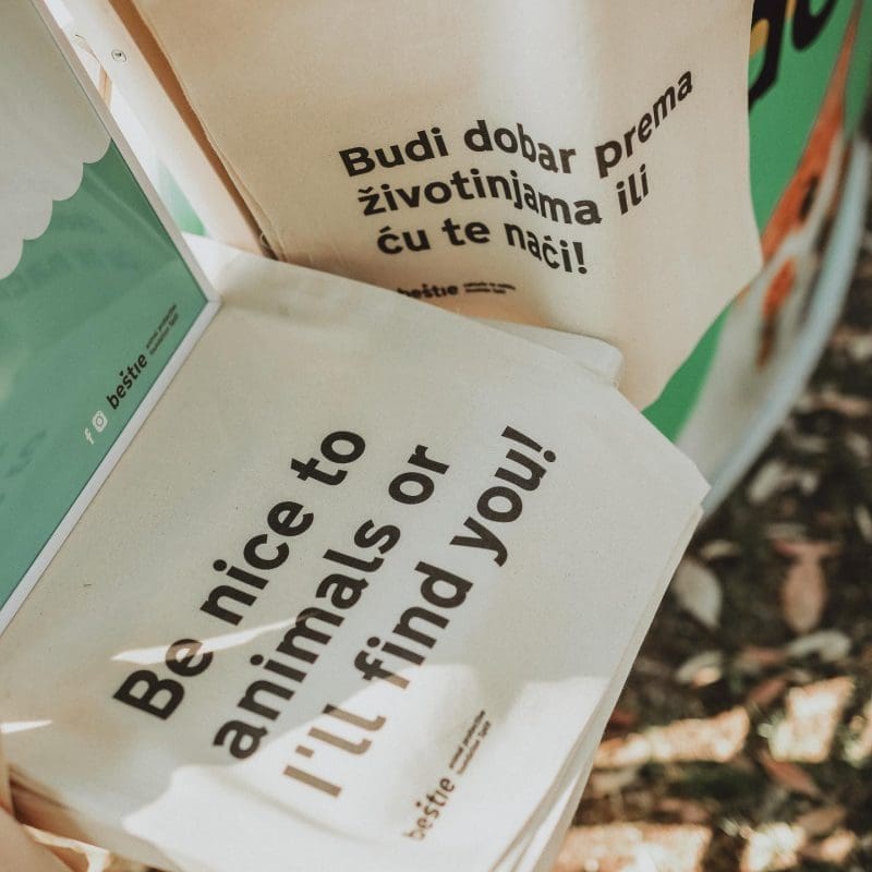 Split Spring 20211-djardin (1)