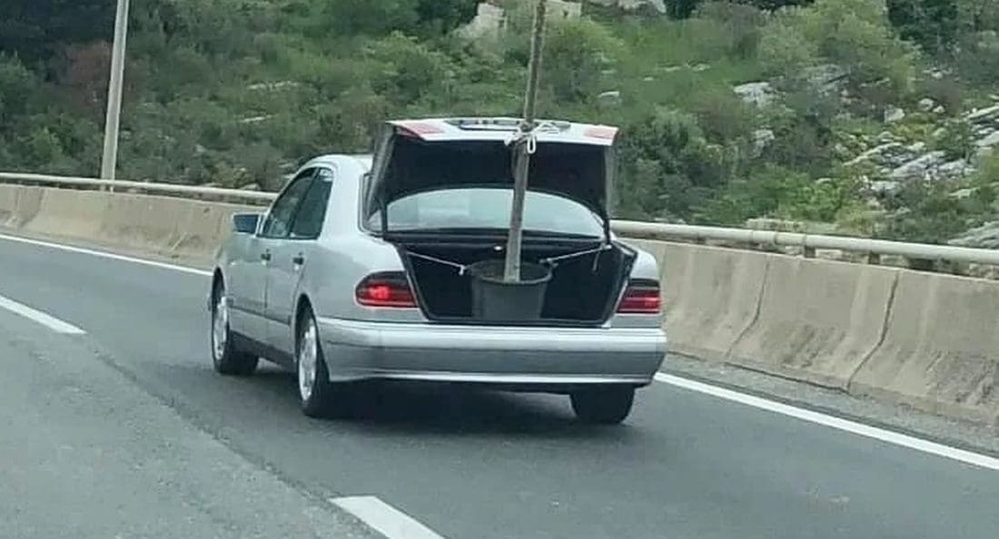 HIT NA DRUŠTVENIM MREŽAMA Scena u okolici Splita nasmijala mnoge: "Pokretna fotosinteza"