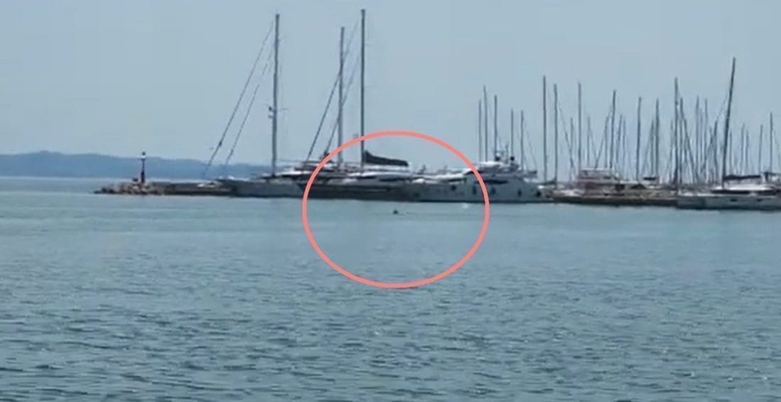 ŠTO JE TO U SPLITSKOJ UVALI? Prolaznici oduševljeni prizorom, svi su izvadili mobitele i snimali: "Uvijek bude impresivno"