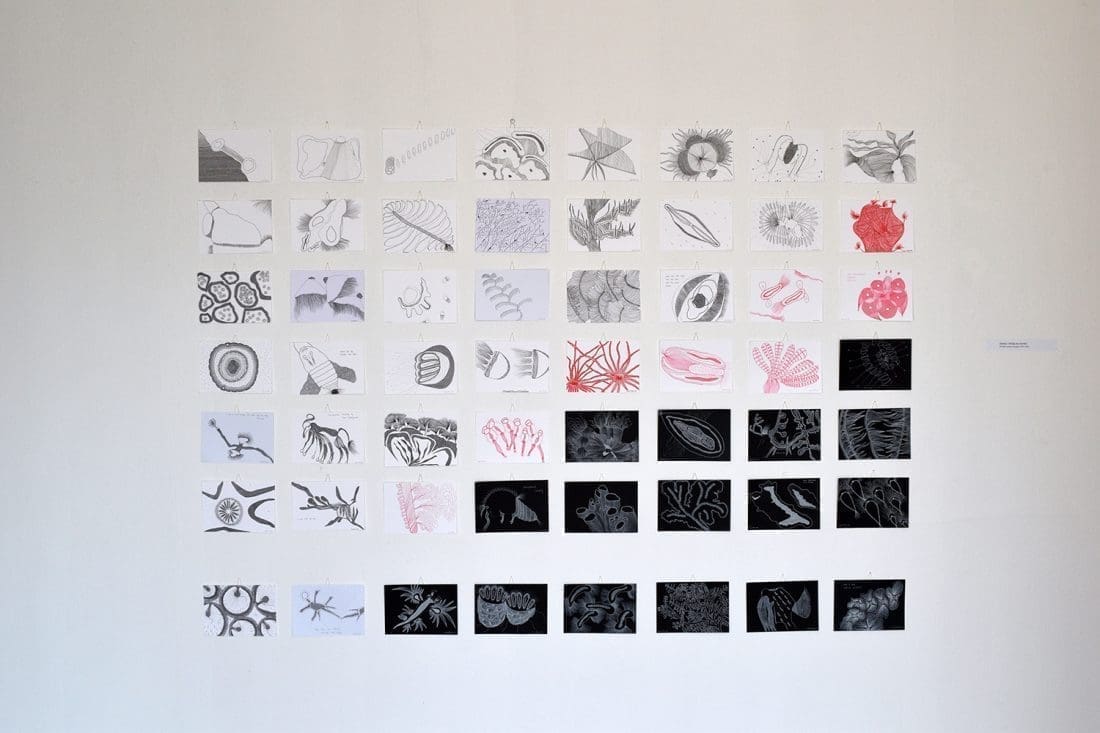 ivana-filip-crtezi-atelijerizitnjak copy