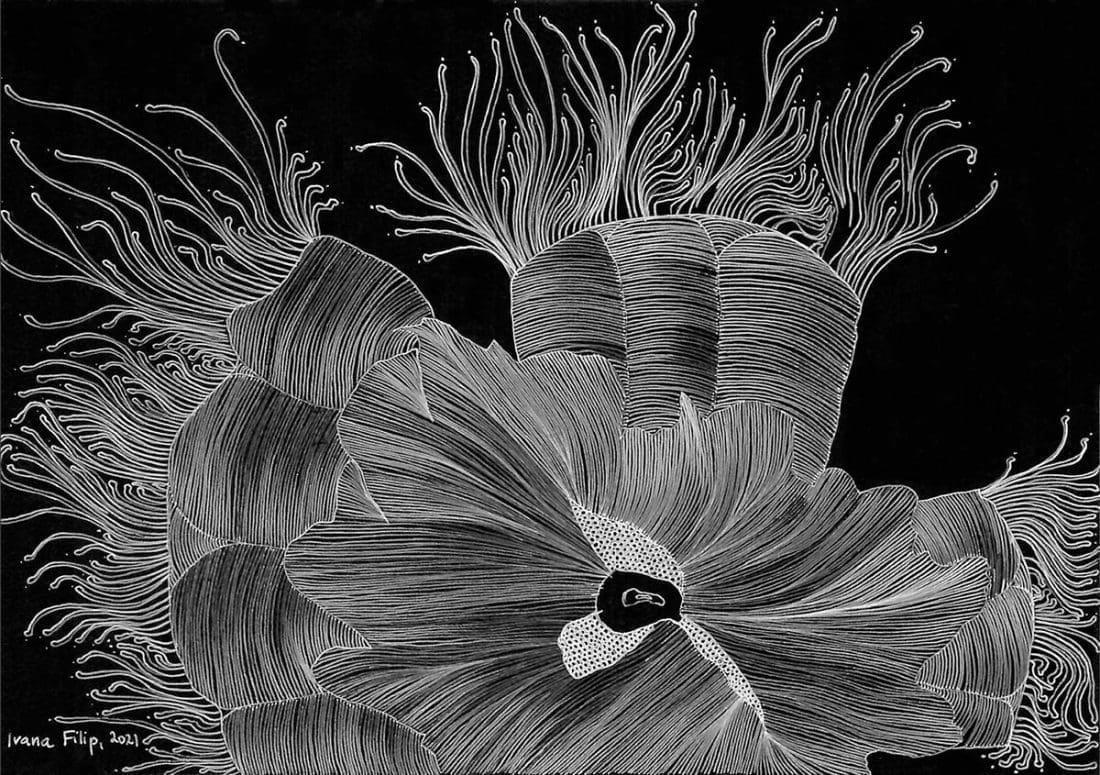 Najavljujemo vam izložbu Ivane Filip u kreativnom hub-u PROSTOR