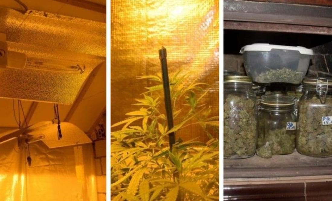 Dalmatincu policija u kući pronašla "laboratorij" marihuane: Pogledajte ga