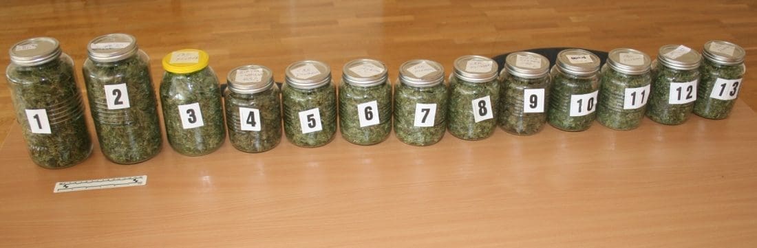 DROGA U DALMACIJI: U staklenkama prevozio preko 900 grama marihuane