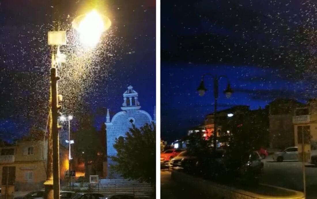 NEVJEROJATAN PRIZOR Snimka kod rasvjetnog stupa sve je zaprepastila: "Neviđeno do sada"