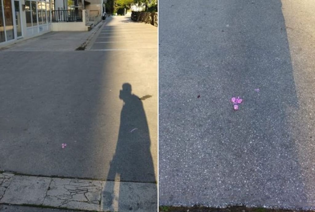 GRAĐANI UZNEMIRENI Na ulici postavljen otrov za kućne ljubimce: "Pripazite, možda ga ima i na drugim lokacijama"