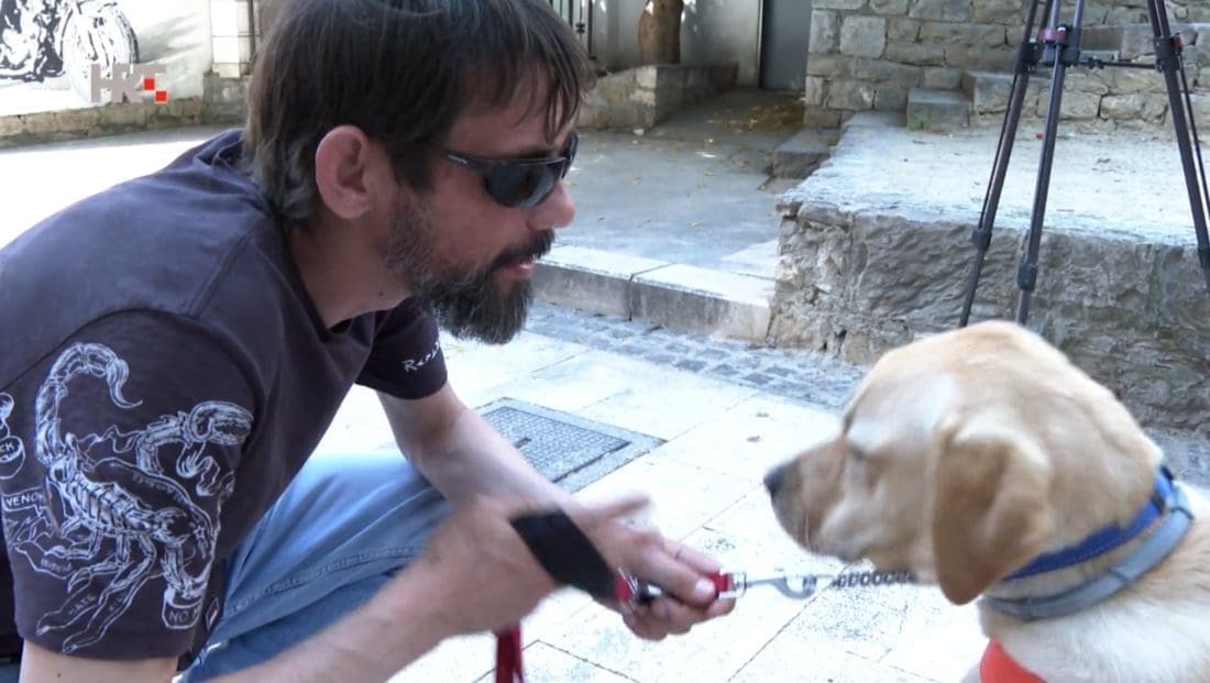 Psi vodiči Fiona i Fili stigli novim vlasnicima u Komižu i Split: "S njim sam puno slobodniji nego s bijelim štapom"