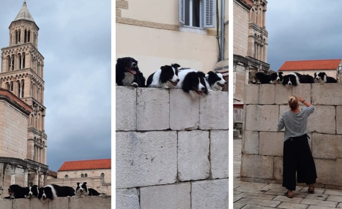 "Pao" neobičan i presladak foto session u centru Splita