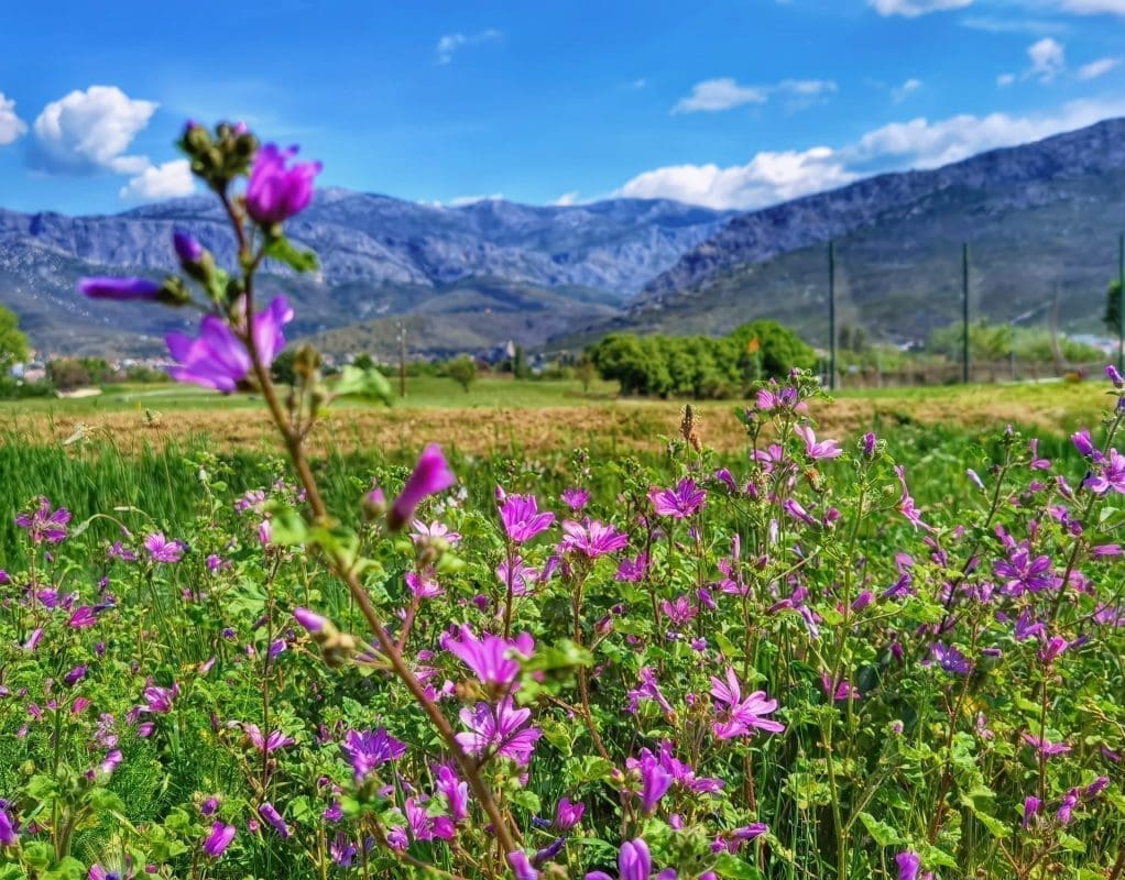 VIKEND PROGNOZA Temperature do 25 Celzijevih stupnjeva, u nedjelju naoblačenje...