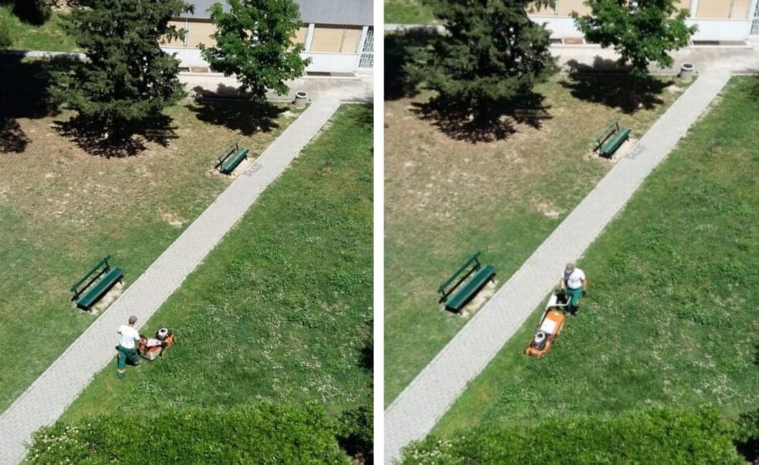 OPSADNO STANJE U SPINUTU Juriš na tratinčice i maslačke, sve sravnjeno sa zemljom