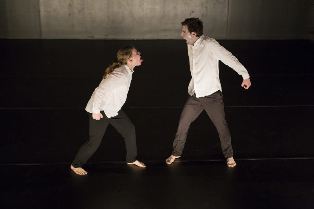 TRANSFORMERI Nagrađivana plesna predstava stiže u Split