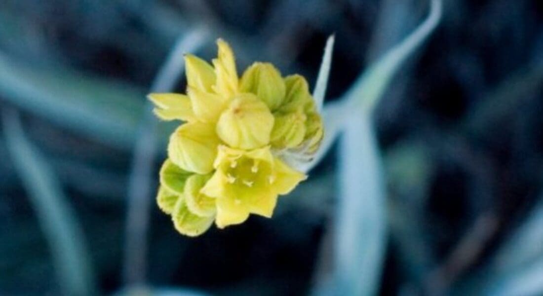 Žensko poduzetništvo ide naprijed, hrvatski uspješni brendovi udružili su snage sa svjetskim ženskim poslovnim liderima