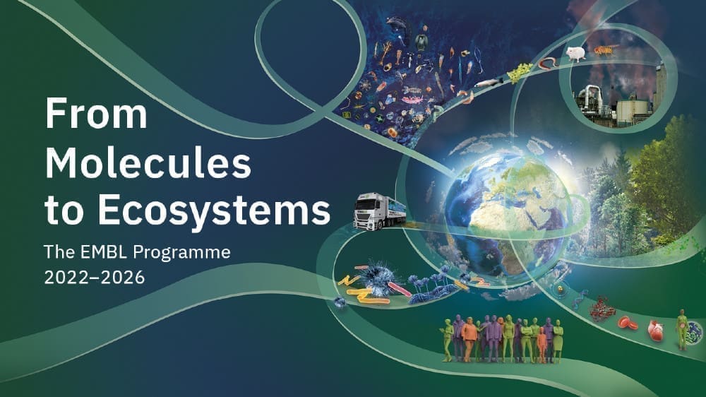 NOVE PRILIKE ZA ZNASTVENIKE: EMBL info dani u Zagrebu i Splitu