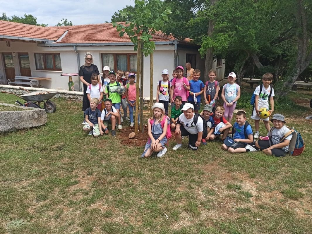 os-znjan-pazdigrad (1)