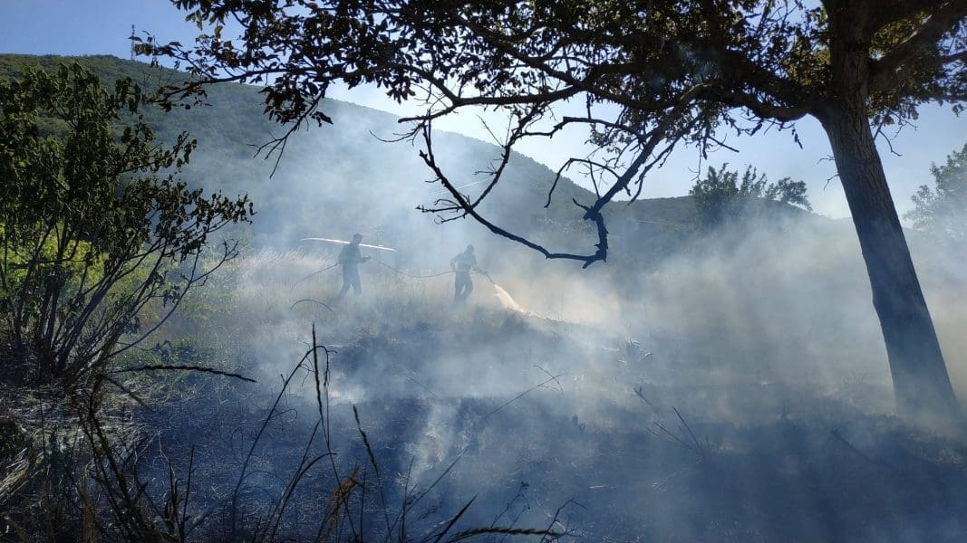 BUKTINJA U ZAGORI Bengalke na svadbi uzrokovale požar: "Prvo smo branili kuće"