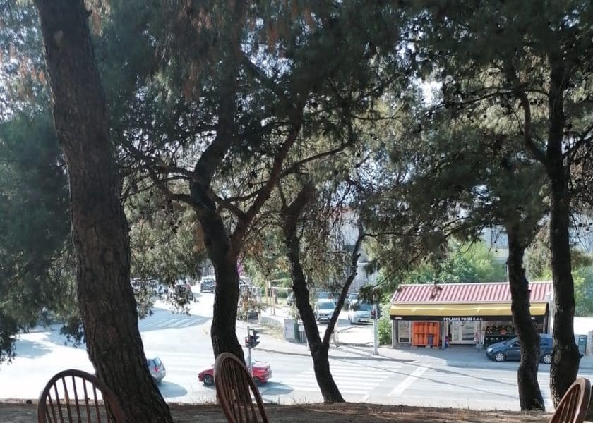 ORIGINALNA IDEJA S PUJANKI Osvanuo dnevni boravak u parku: "Ko je vidija palit klimu. Fali samo miljetić"