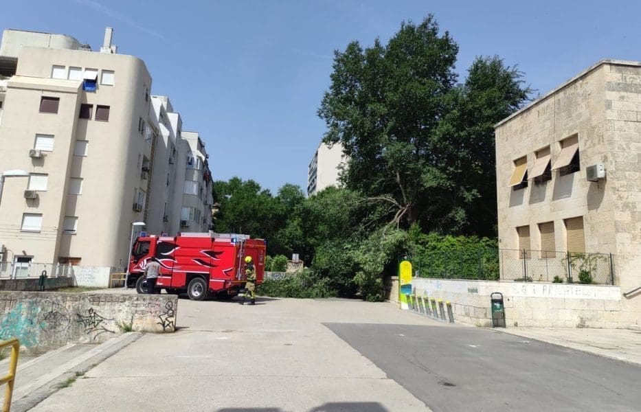 Stablo završilo na podu kod splitske škole