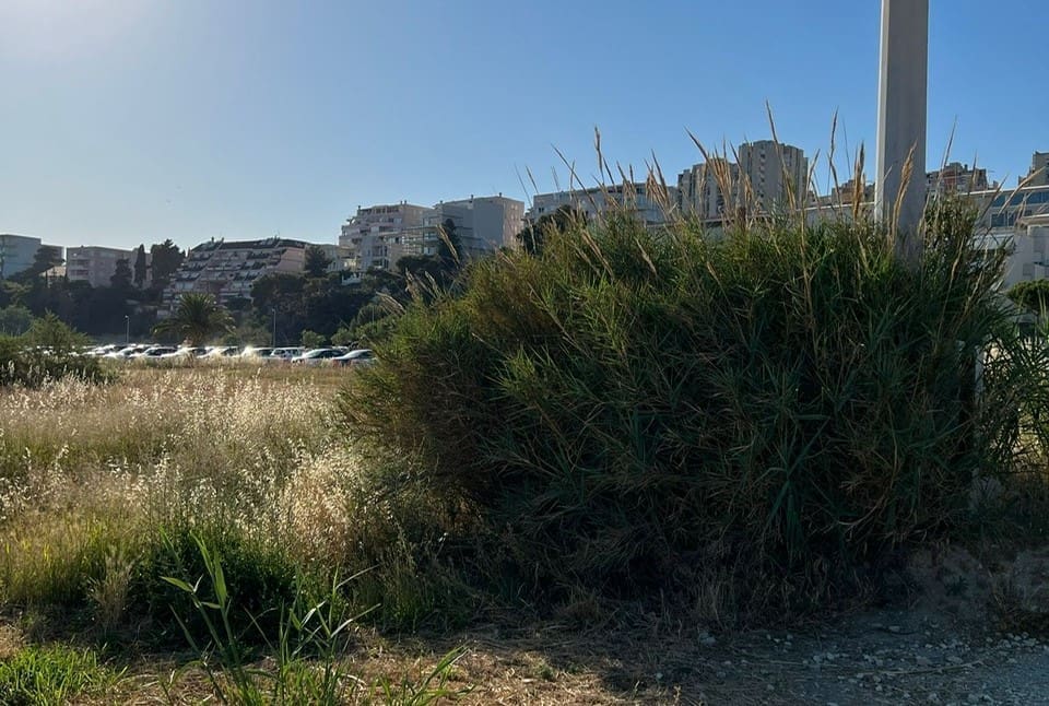 Ante Franić o Žnjanu: "Što očekivati od vlasti i njihovih namještenih direktora kada nisu u stanju ni travu pokositi?!"