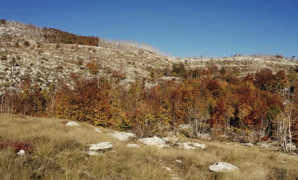 OSIGURAJTE SVOJE MJESTO NA VRIJEME Počinje opća planinarska škola u organizaciji PD "Jelinak" Trilj