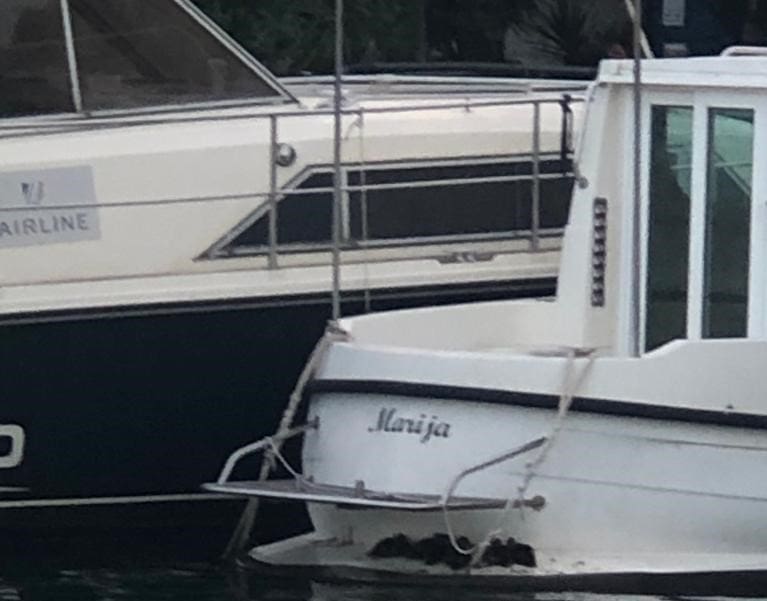 "LEŠANE" OD VRUĆINE Nevjerojatni prizori sa Zente: Pogledajte kako su patkice odlučile odmoriti