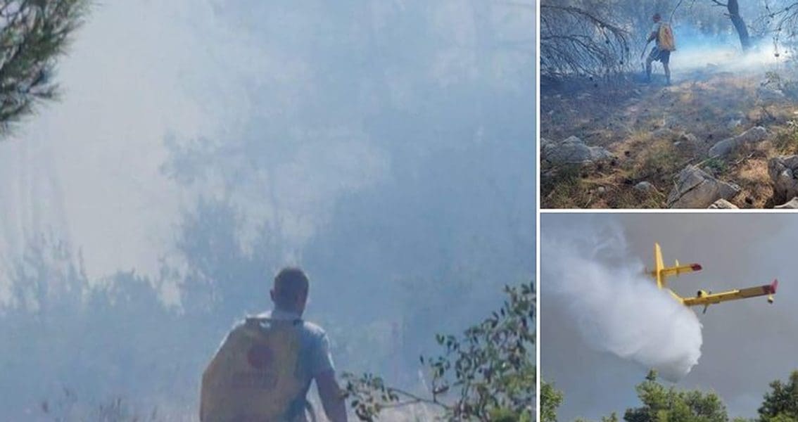 JESTE LI OVO ZNALI? Vatrogasna objava postala pravi hit na internetu: I turisti su gasili požar u šibenskom zaleđu