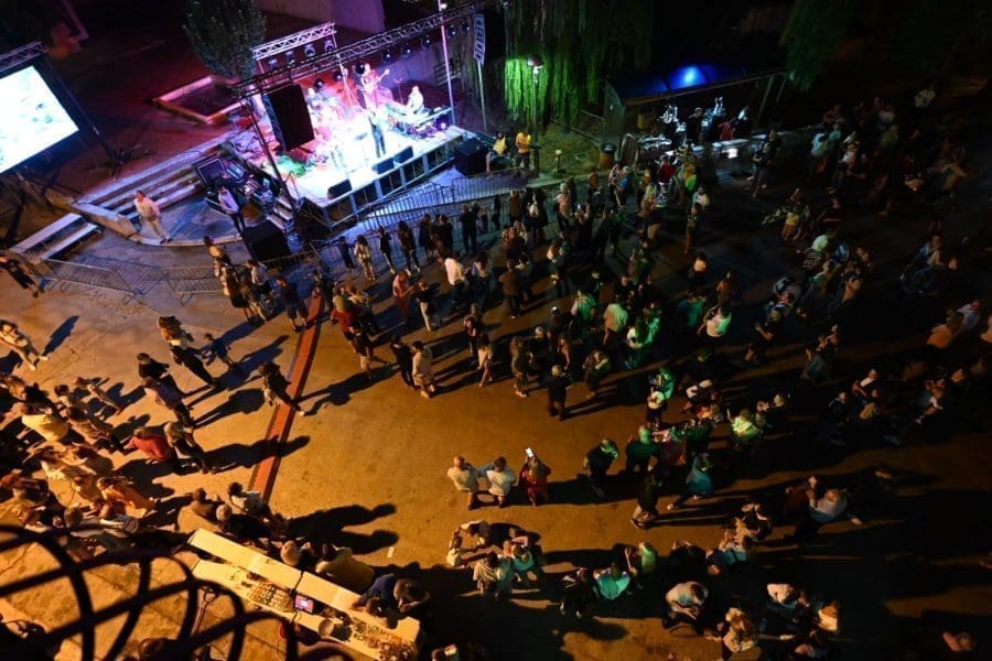 alen nizetic - zrnovnica (1)