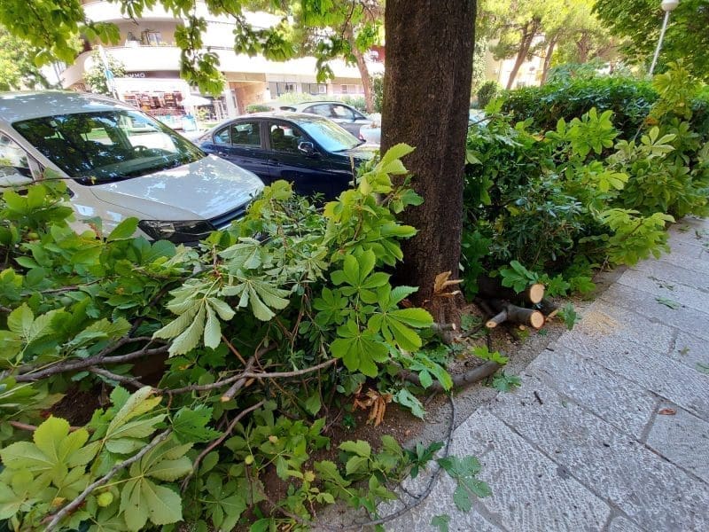 grana-gunduliceva (1)