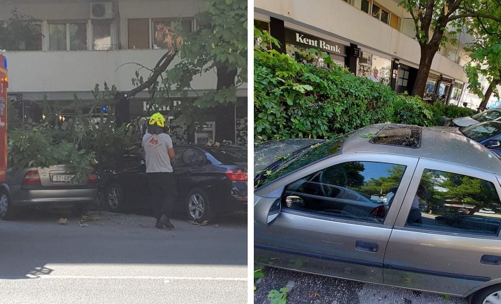 ODLOMIO SE DIO STABLA Grane oštetile parkirane automobile, intervenirali splitski vatrogasci