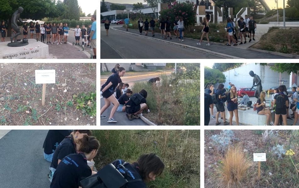 ŠTO SE TO RADI KOD POLJUDSKOG TEMATSKOG PARKA? Vrijedni mladi 'Izviđači' vode brigu biljnom svijetu: "Ovo su sjajna djeca i odredi. Nije im teško biti na Poljudu u 6 ujutro"