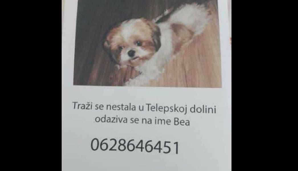 Bošku je vraćen njegov pas. Otkriveno je li djevojci koja je našla Beu dao svoj BMW